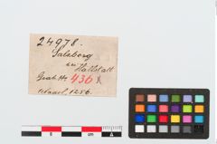 Etiketten zu Bronzenähnadel (NHMW-PRAE-024978)